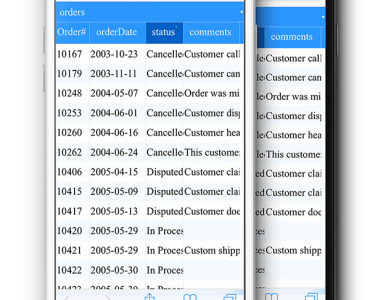 phpgrid mobile support