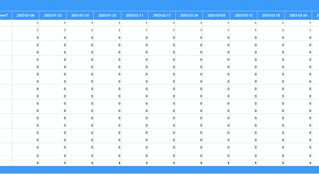 pivot grid