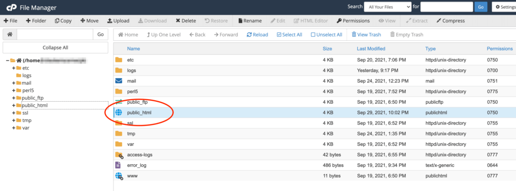cpanel_filemanager_pub