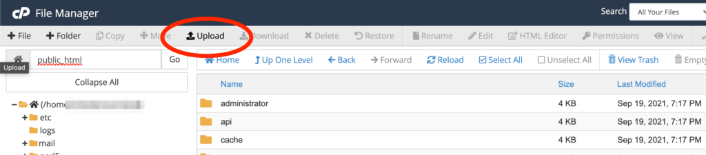 cpanel_filemanager_pub file upload